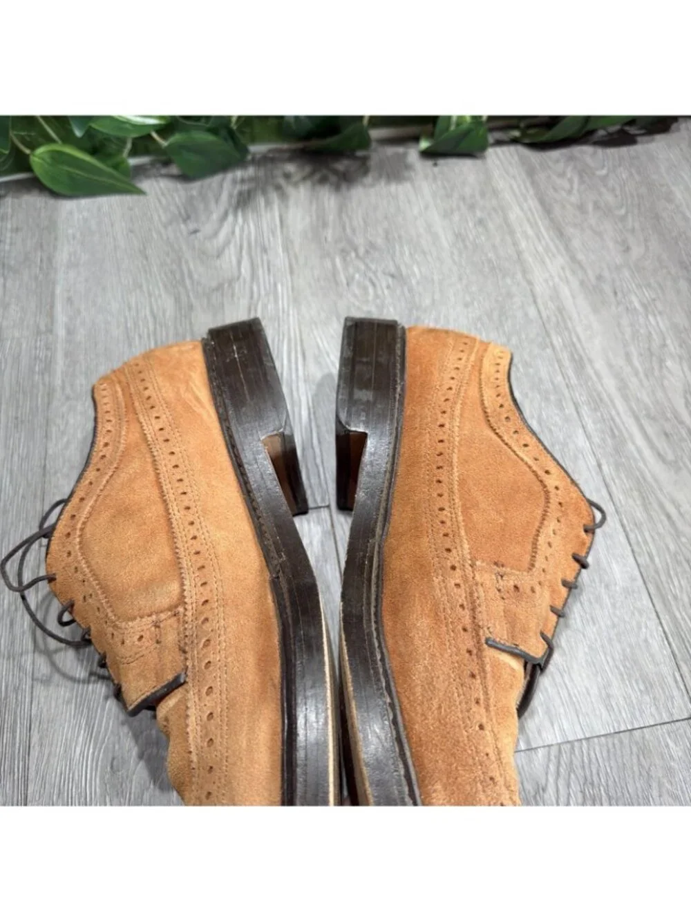 Allen Edmonds Schautel Brown Suede McNeil Wingtip Dress Shoes Men Sz 9.5 D USA
